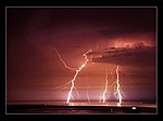 The lightning gallery portfolio